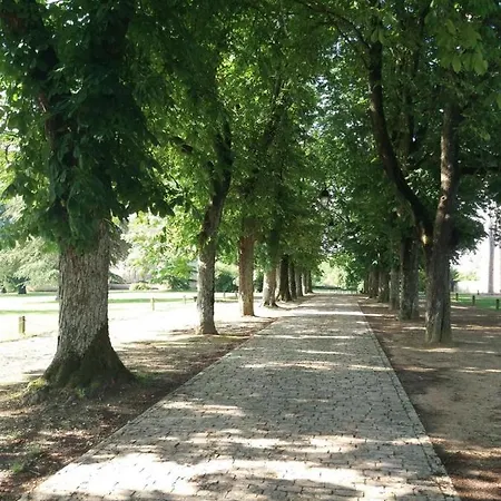 Chateau D'ayron Сasa de vacaciones *