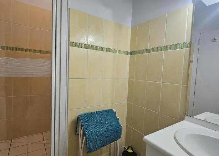 Chateau D'ayron 度假居 *